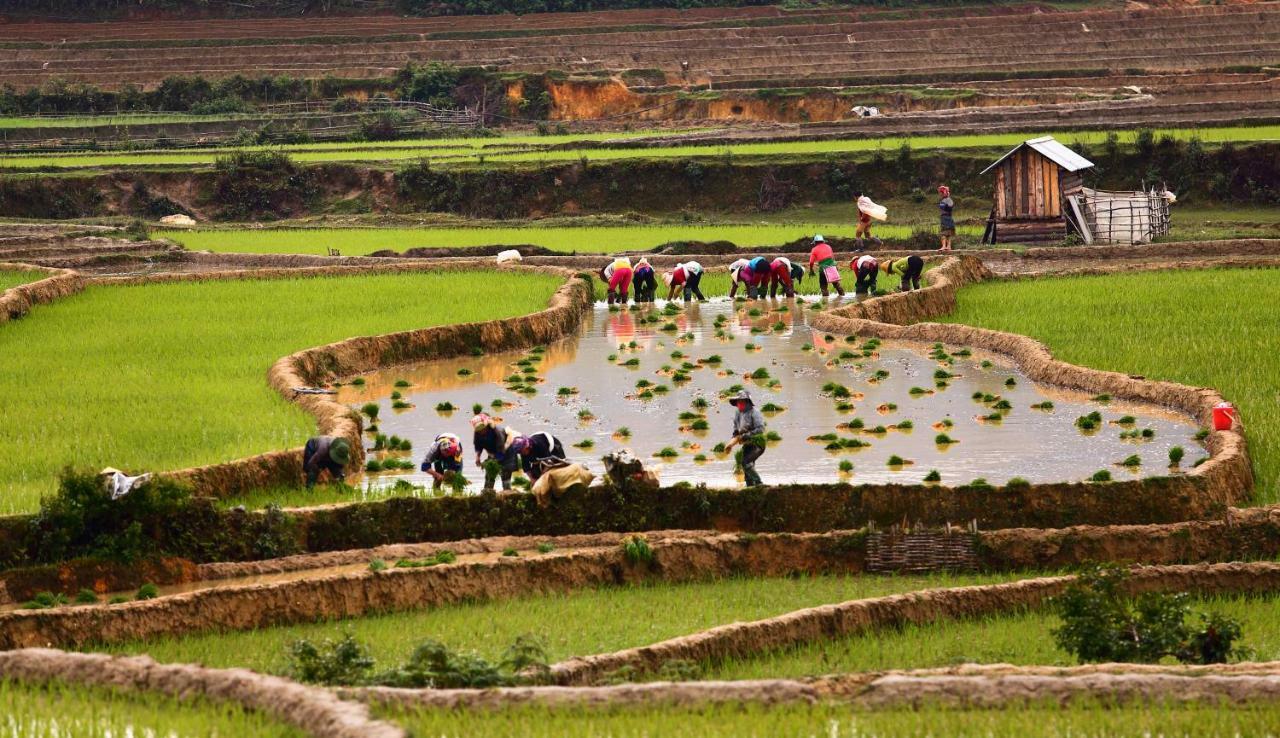 Mu Cang Chai Eco Lodge Nam San Екстериор снимка