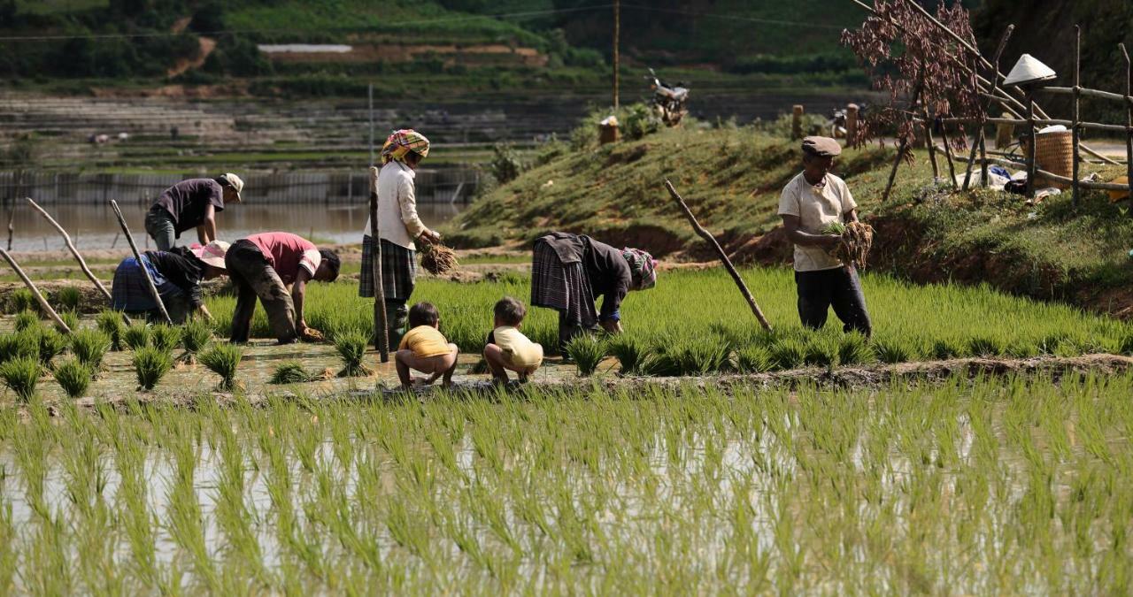 Mu Cang Chai Eco Lodge Nam San Екстериор снимка